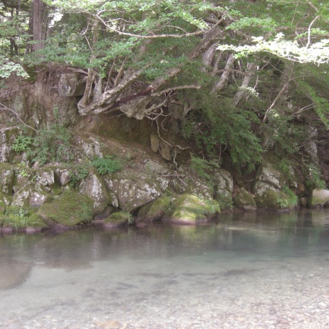 写メ