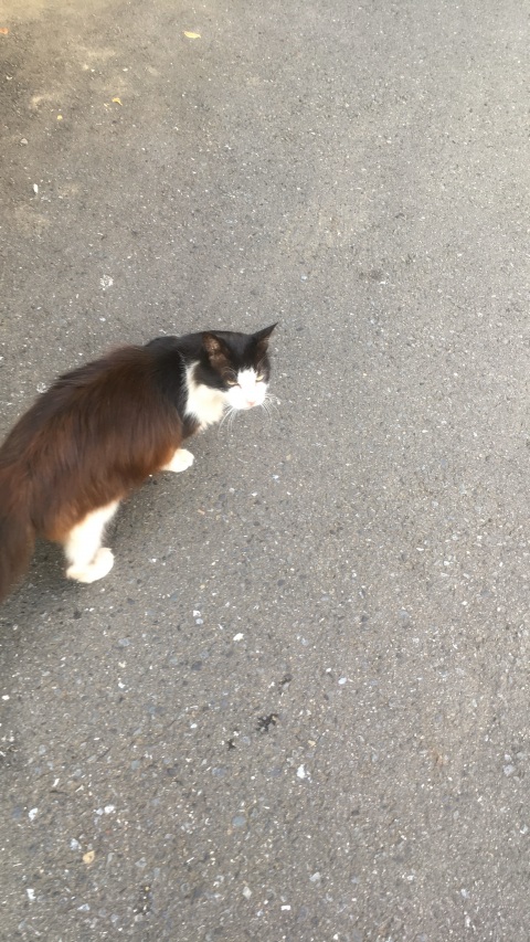 写メ