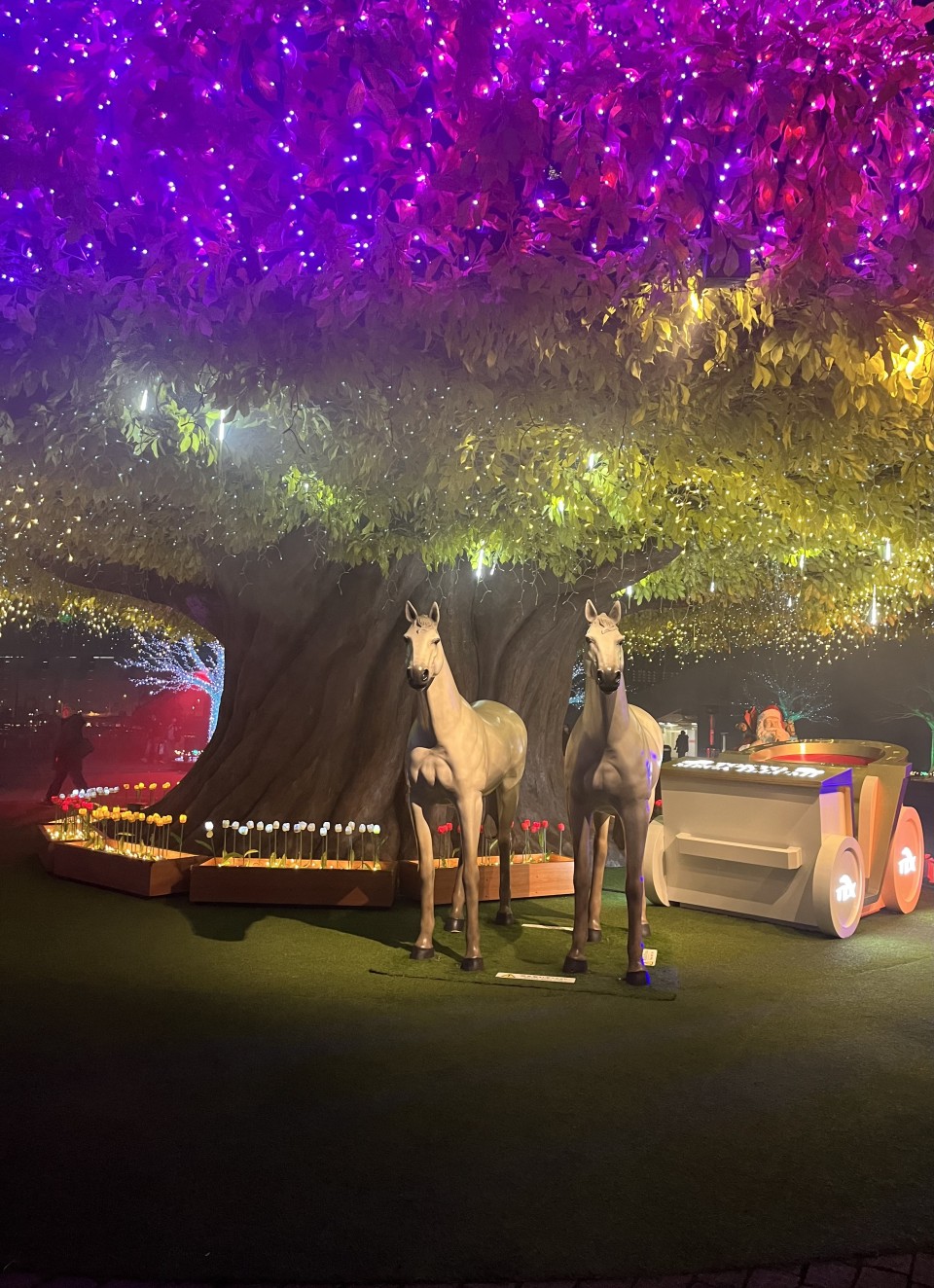 アップロード画像