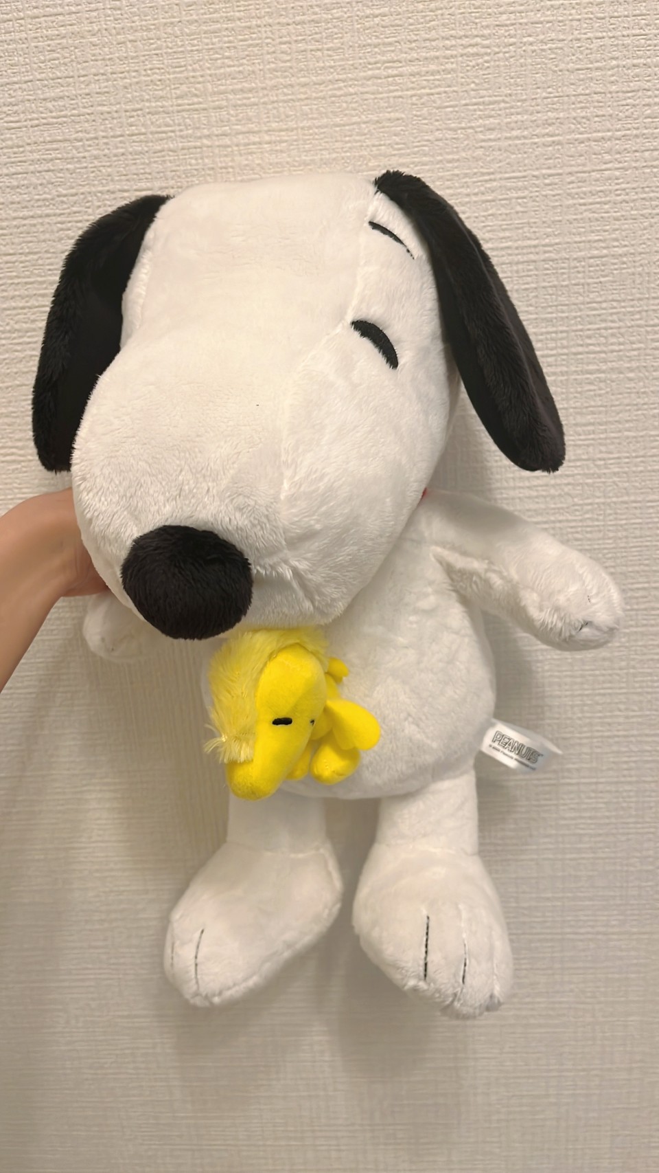 アップロード画像