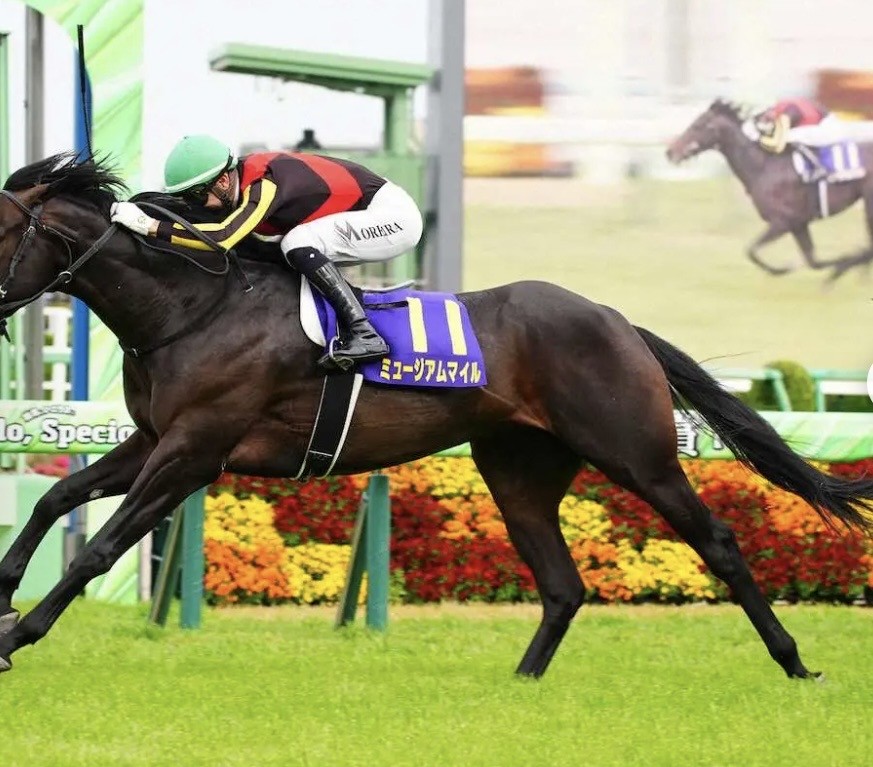 アップロード画像