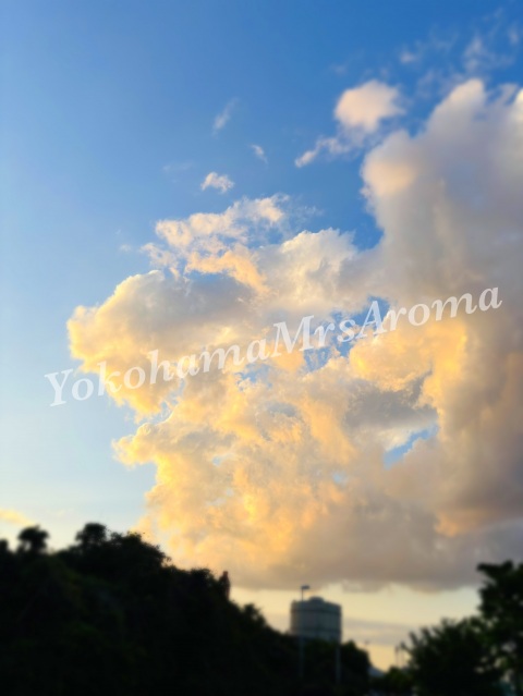 写メ