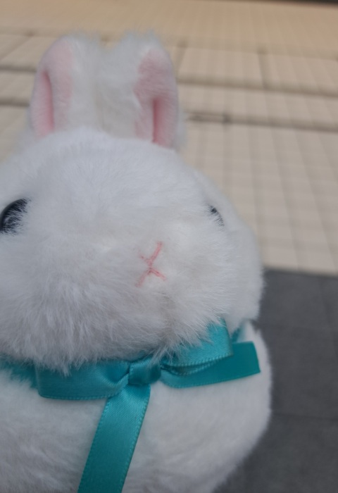 写メ