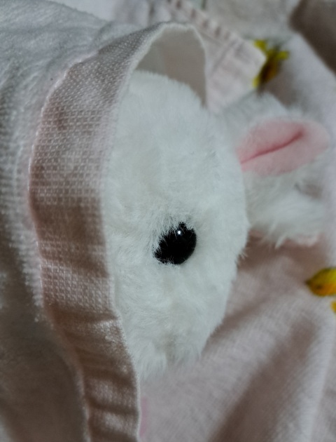 写メ