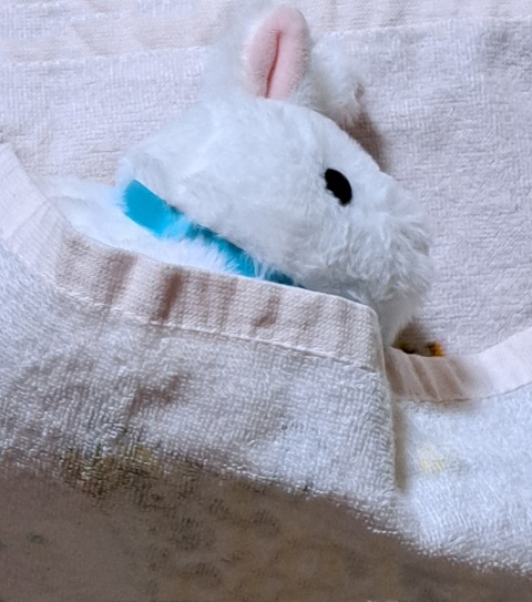 写メ