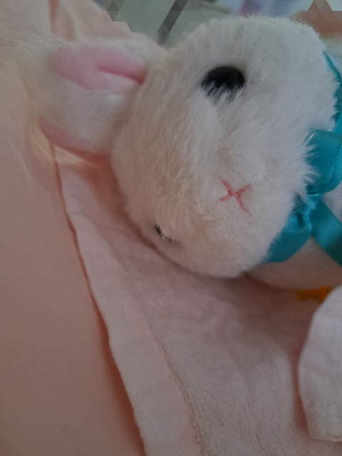 写メ