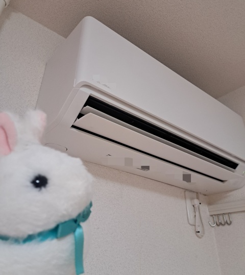 写メ