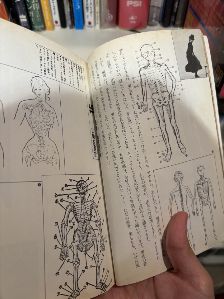 アップロード画像
