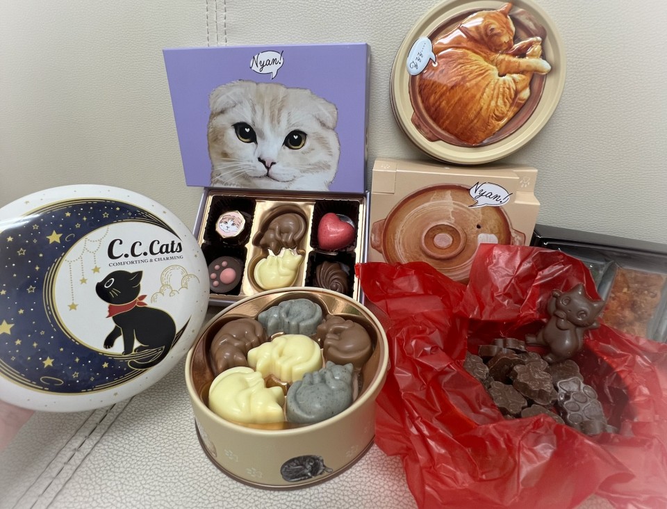 アップロード画像