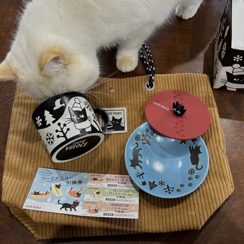 アップロード画像