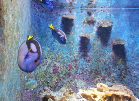 写メ