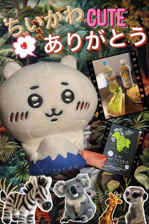 写メ