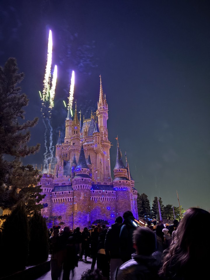 アップロード画像