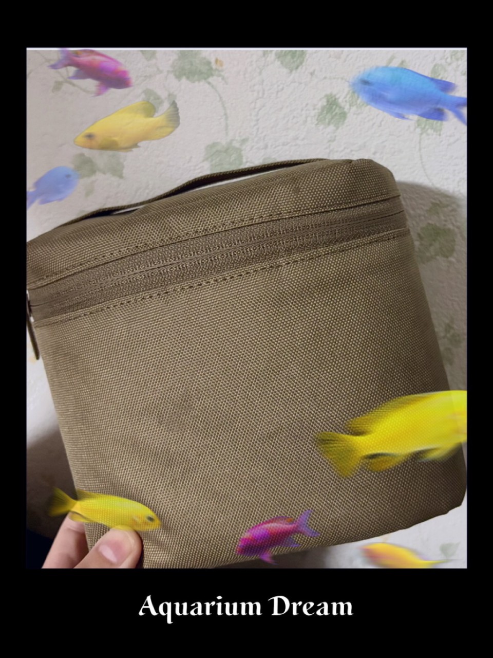 アップロード画像