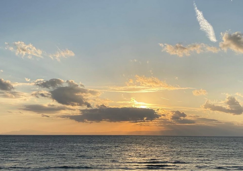 アップロード画像