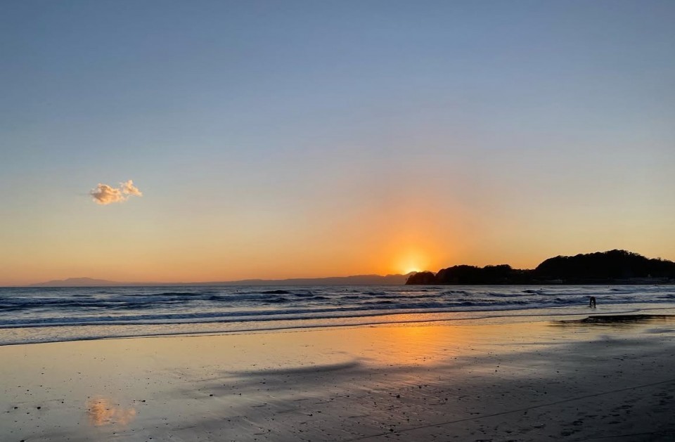 アップロード画像