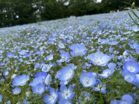 写メ