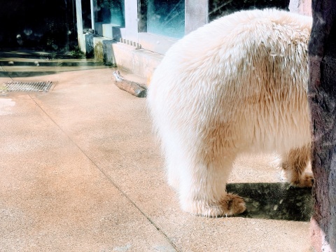 写メ