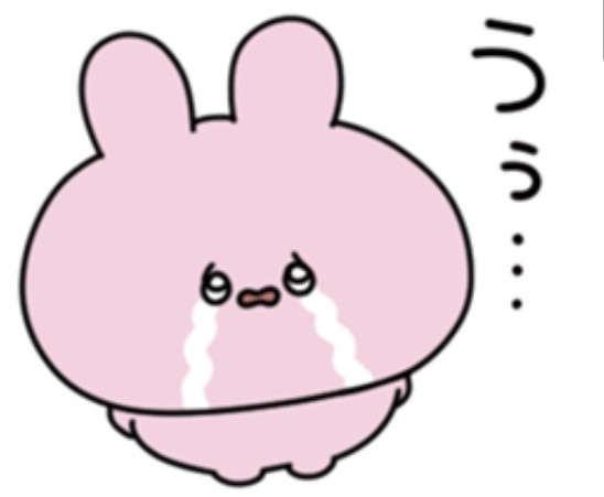 アップロード画像